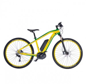 ebike-advanced-line-race-r-003-brazil-seitenansicht-R0