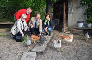 160518schaugarten_gruenwald_huehner