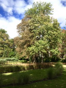 20161007 Augenballon foto_stadtgarten (3)