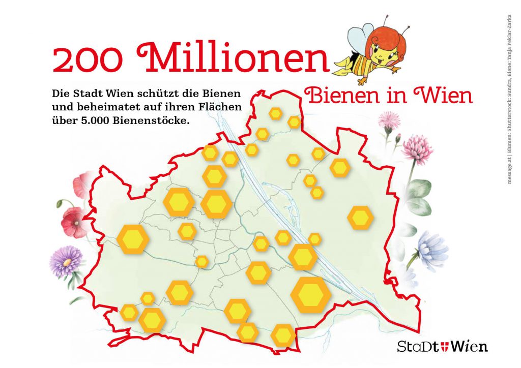 200 Millionen Stadt-Bienen leben und arbeiten in Wien