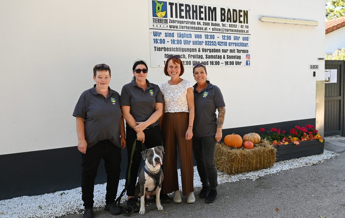 Ein Blick hinter die Kulissen des Tierheims Baden